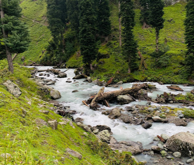 Campsite At Aru Valley Pahalgam Jammu Kashmir Overlandingcamping